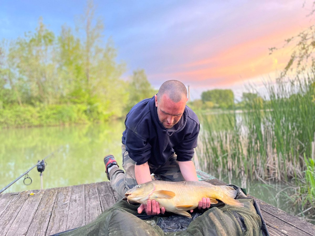WBMCarpFishing's tweet photo. Quick in and out just the way I like it ๐ less than an hour in the water in the margins this evening and this Mirror Carp kindly obliged.
#mirrorcarp #carp #itsoknottopay #freefishing #inandout #quickdip #fishing #carpfishing #fishingtrip #fishinglife #carping
@5calesandtails https://t.co/UIo0OncaFy