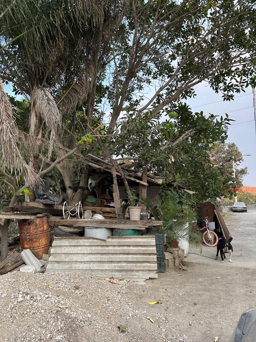 DenisseGDL's tweet photo. @GobTlaquepaque hola buenas tardes disculpa donde pudiera reportar están apropiando de la calle y me ponen hasta perros para no dejarme pasar agusto y en la calle ya no queda tanto espacio y construyeron una casa en plena calle https://t.co/5HgRSwaLXo