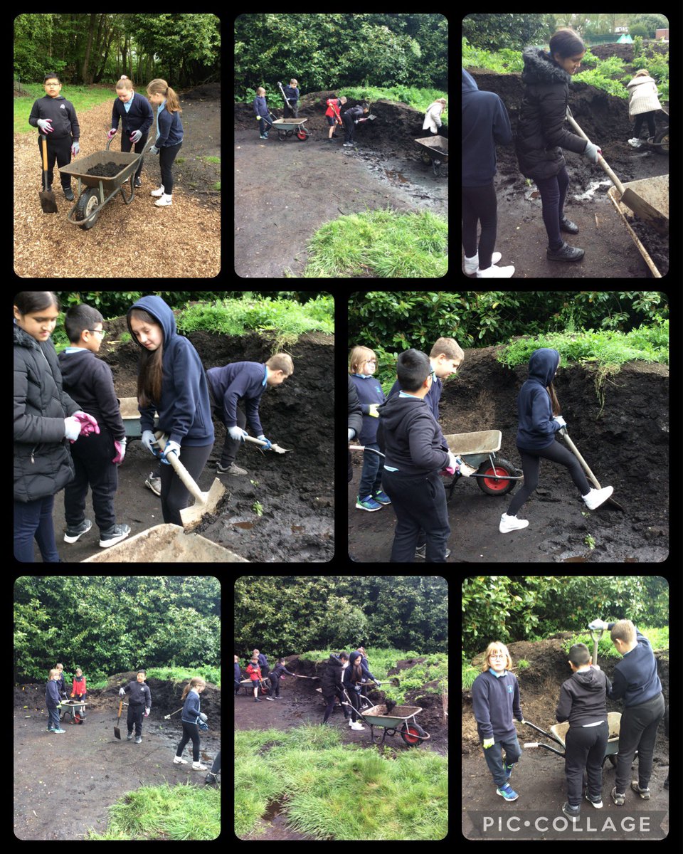 Burgh Primary School tweet media