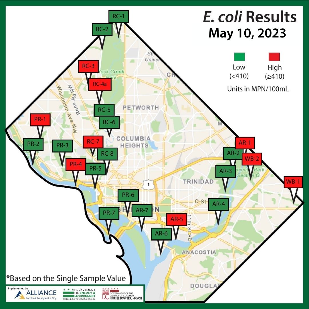 AllianceForBay's tweet photo. The results were good this week, 15 out of the 24 sites have low bacteria values using the single sample value! Thanks to our partners @AnacostiaRrkper, @LoveRockCreek, @GoNatureForward, @DOEE_DC and @MayorBowser! #WhatsInTheWater #DCCitizenScience https://t.co/EwymBg2v48
