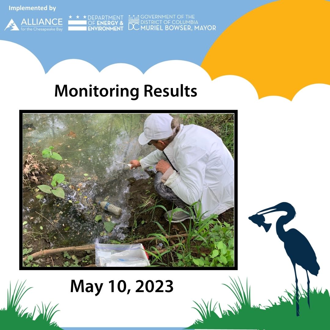 AllianceForBay's tweet photo. The results were good this week, 15 out of the 24 sites have low bacteria values using the single sample value! Thanks to our partners @AnacostiaRrkper, @LoveRockCreek, @GoNatureForward, @DOEE_DC and @MayorBowser! #WhatsInTheWater #DCCitizenScience https://t.co/EwymBg2v48