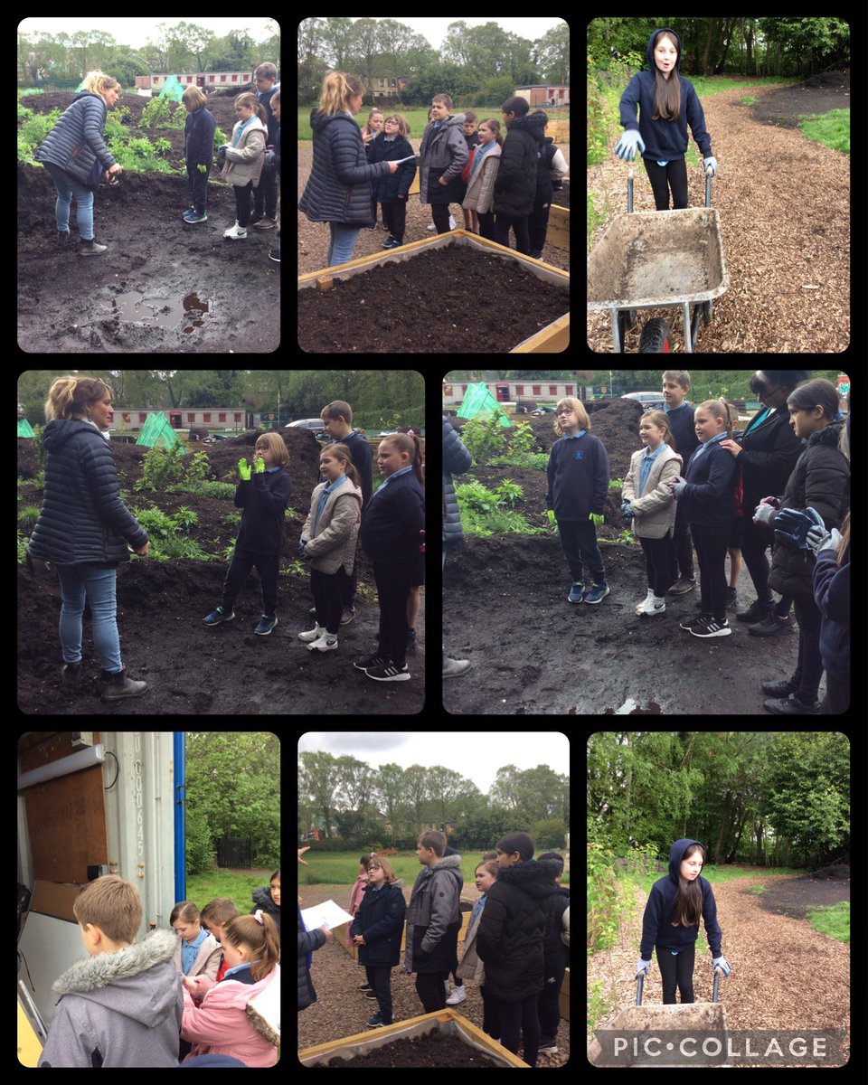 Burgh Primary School tweet media