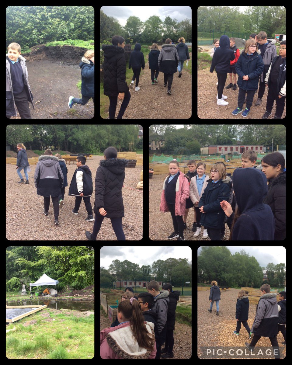 Burgh Primary School tweet media