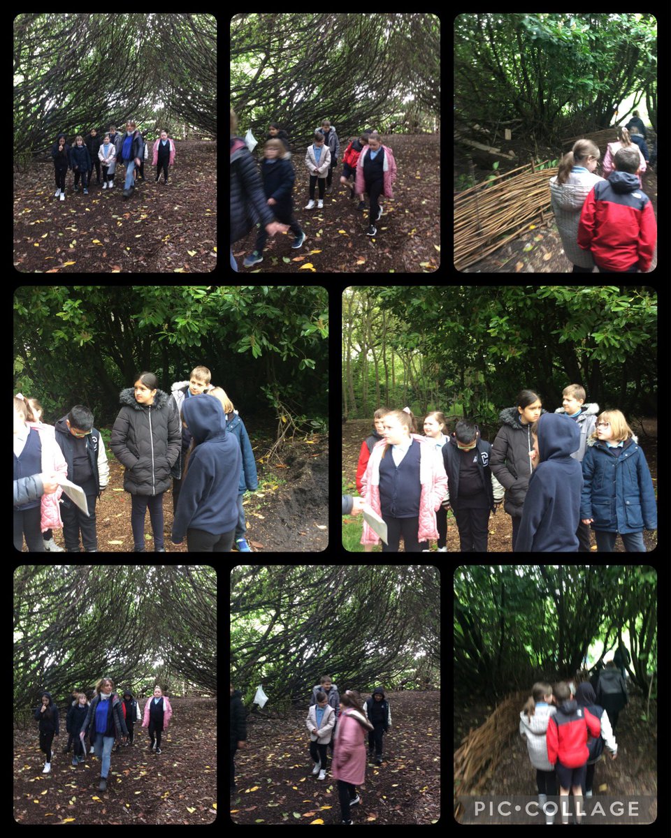 Burgh Primary School tweet media