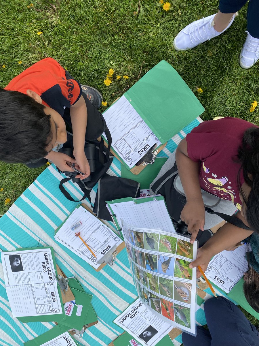 MsLam_BWPS's tweet photo. Enjoying the beautiful weather and taking our learning outdoors! We were able to borrow the Bird Watching kit from @YRDSBoutdoorEd It was a great way to launch our Science unit on Animals. This week we focused on birds. https://t.co/Q5IPJ52jZQ
