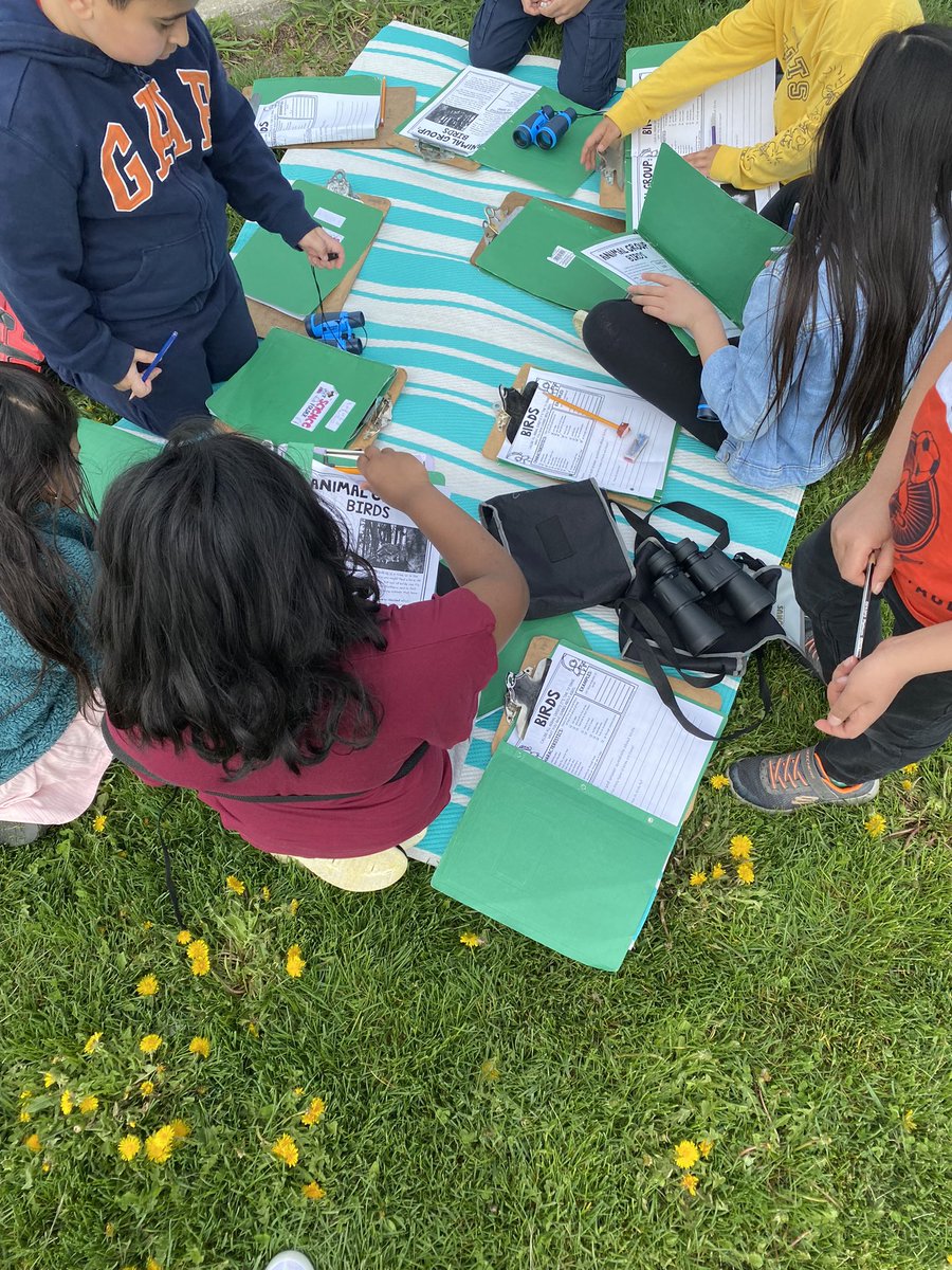 MsLam_BWPS's tweet photo. Enjoying the beautiful weather and taking our learning outdoors! We were able to borrow the Bird Watching kit from @YRDSBoutdoorEd It was a great way to launch our Science unit on Animals. This week we focused on birds. https://t.co/Q5IPJ52jZQ