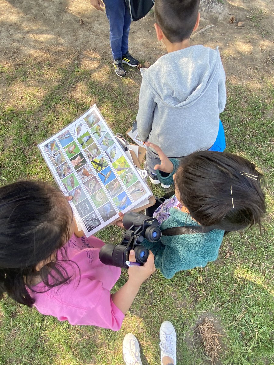 Enjoying the beautiful weather and taking our learning outdoors! We were able to borrow the Bird Watching kit from <a href="/YRDSBoutdoorEd/">YRDSB Outdoor Ed</a> It was a great way to launch our Science unit on Animals. This week we focused on birds.