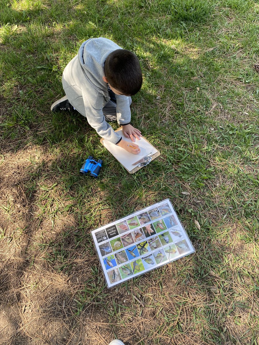 MsLam_BWPS's tweet photo. Enjoying the beautiful weather and taking our learning outdoors! We were able to borrow the Bird Watching kit from @YRDSBoutdoorEd It was a great way to launch our Science unit on Animals. This week we focused on birds. https://t.co/Q5IPJ52jZQ