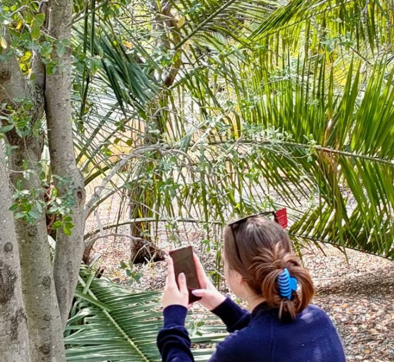 etpxavier's tweet photo. Tanquem el dia amb la sortida al jardí botànic amb els alumnes de 1r dietètica per posar en práctica tot el que han après al crèdit de fitoteràpia.
#1rdietetpx @MCNBbotanica https://t.co/H55dBo6o6P