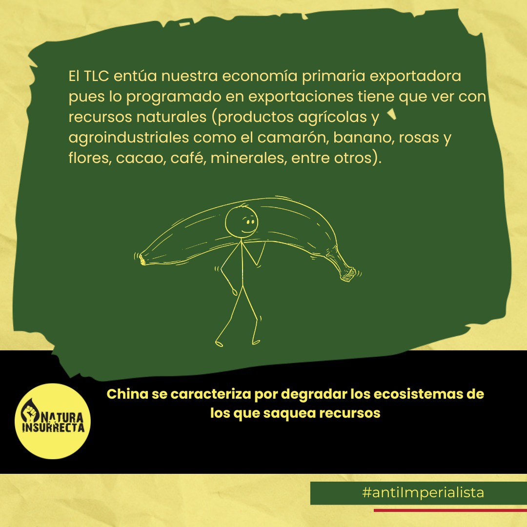 NaturaInsurrect's tweet photo. El TLC con china profundiza l dominación, explotación de recursos y de los trabajadores 
#china
#tlc https://t.co/XT1AUEziic