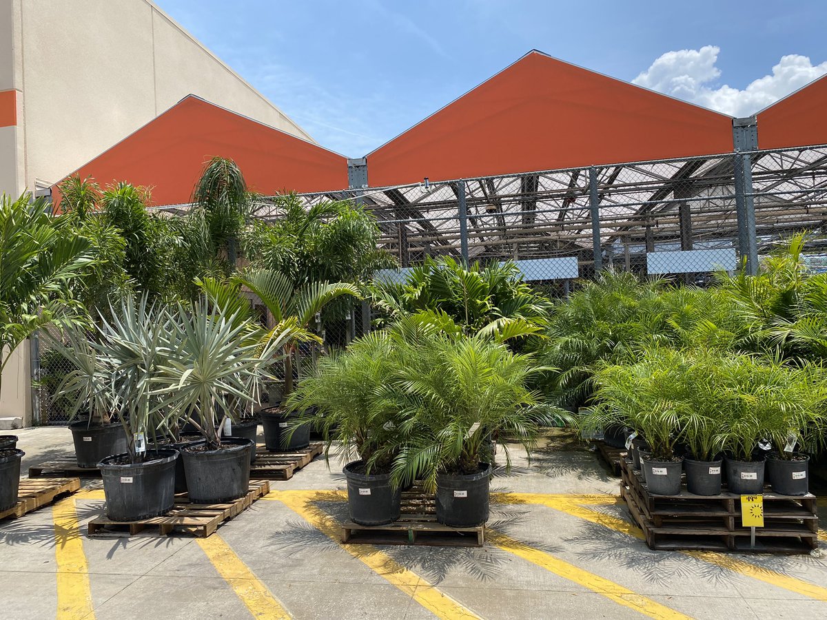 Erick Herrera Fuentes tweet media