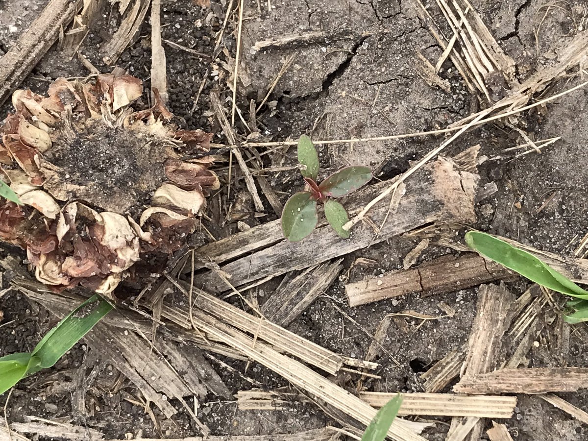 Meaghan Anderson tweet media