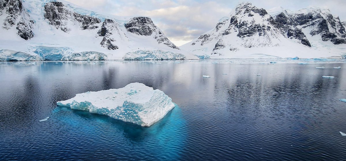 TheYangfanZHANG's tweet photo. Magnificent mountains, glaciers & icebergs in #Antarctica #filedwork #biology #travel #fish #AcademicTwitter https://t.co/w3tGo5vNcG