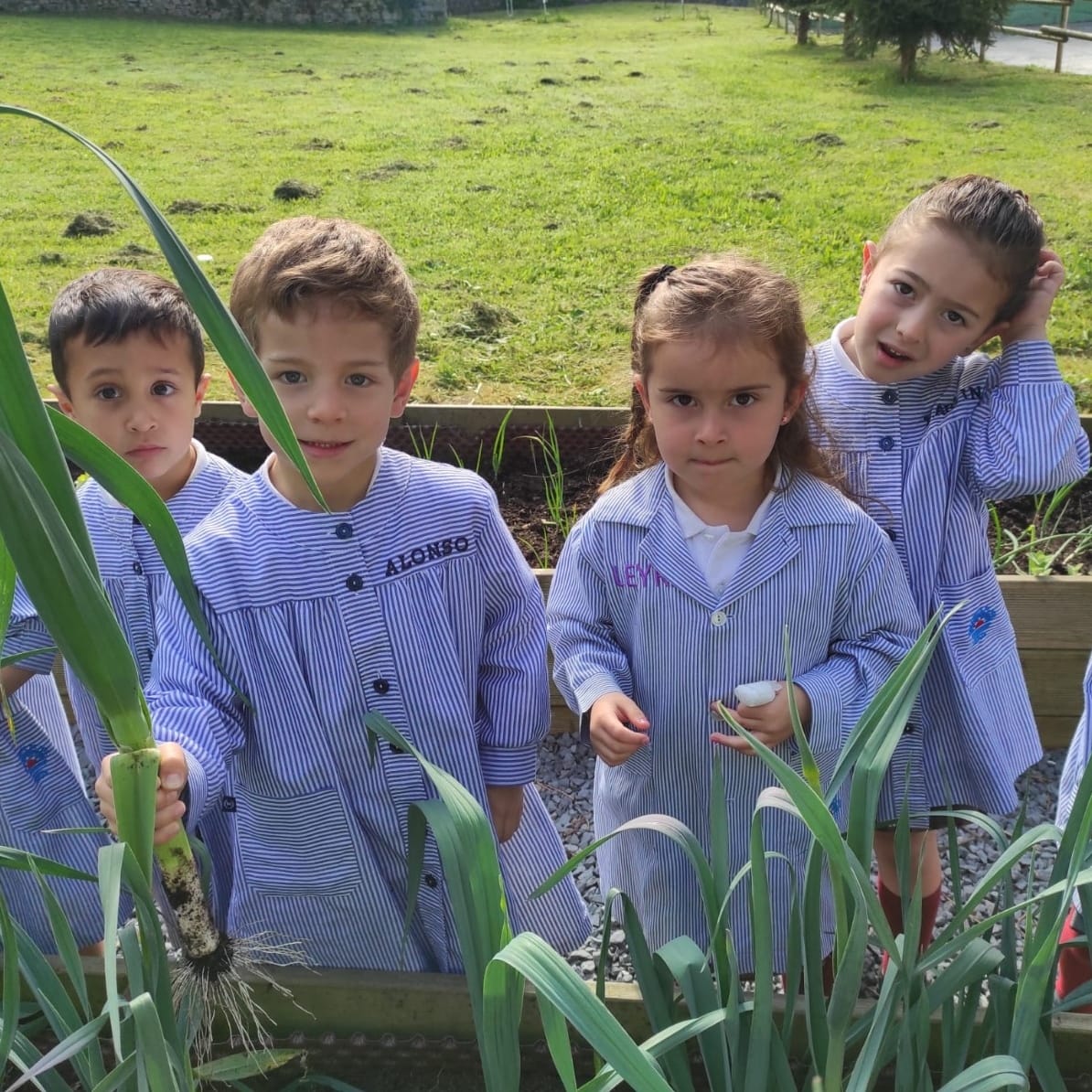 pauleslimpias's tweet photo. lo pasan fenomenal!
#SVPLIMPIAS
#huertoescolar
#infantil #primaria
#plantar #regar #cuidar #recolectar
#meencantamicole
#micolemola https://t.co/mjHx1KKCKt