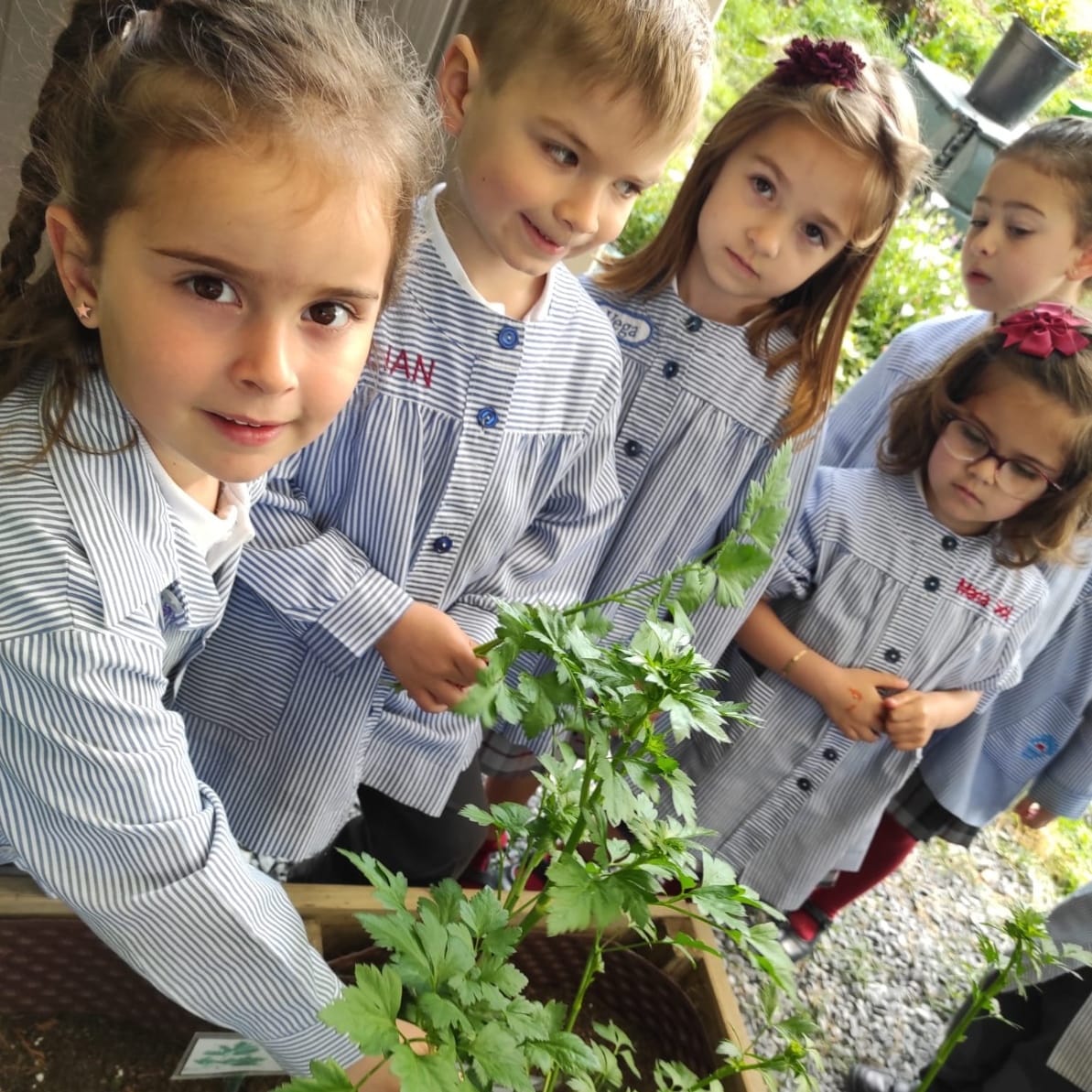 pauleslimpias's tweet photo. lo pasan fenomenal!
#SVPLIMPIAS
#huertoescolar
#infantil #primaria
#plantar #regar #cuidar #recolectar
#meencantamicole
#micolemola https://t.co/mjHx1KKCKt