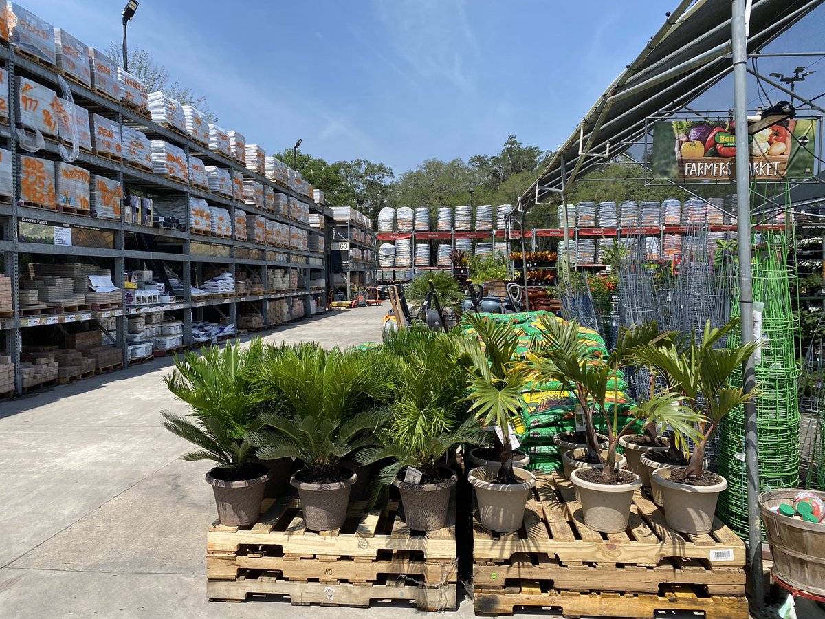 Erick Herrera Fuentes tweet media