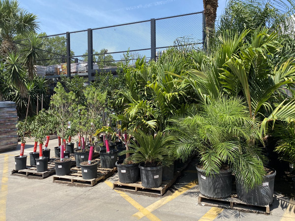 Erick Herrera Fuentes tweet media