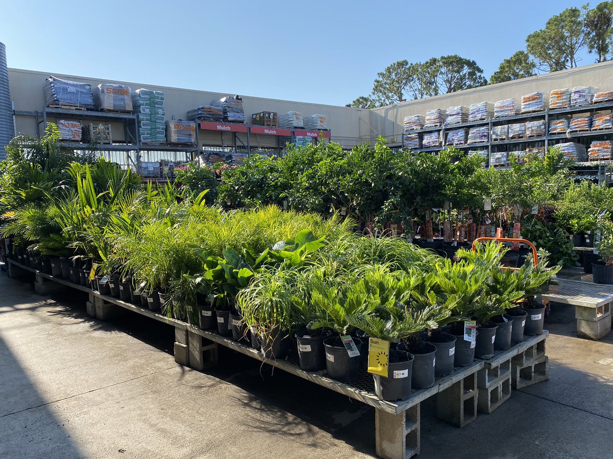 Erick Herrera Fuentes tweet media