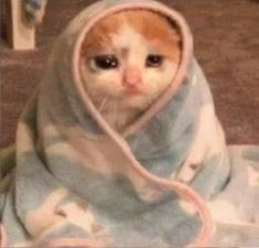 𝙢𝘦𝘭𝘶 / 𝙢𝘰𝘰𝘯 ˡᵛˢ ᵒᶜʰᵃᵏᵒ tweet media