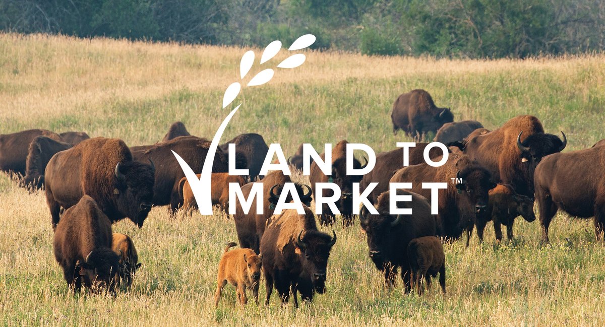 Noble Premium Bison has joined Land to Market, the world’s first verified sourcing solution for regenerative agriculture. We're aligning with a recognized leader in land health as part of our ongoing commitment to address climate change &amp; heal the planet. 
noblepremiumbison.com/meet-noble/blo…