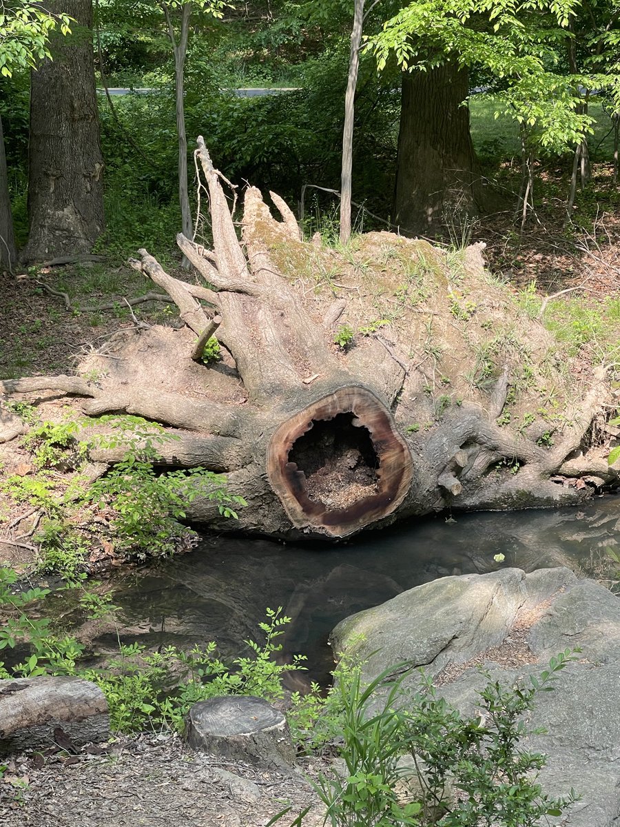 dlsatter's tweet image. This is almost too much for my brain to handle! #imaginationrunwild 🤯