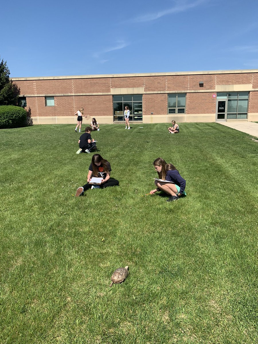 Gizzy joined us as we gathered data on the biotic and abiotic interactions in our school yard ecosystem today #WeAreGeneva304 #Geneva304 #GMSN