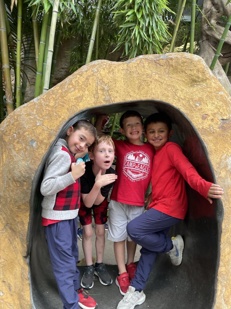 msrachelours's tweet photo. 1st grade had so much fun at the Dallas World Aquarium and Klyde Warren Park today! We compared all the animals we saw with each other on the way back to school. https://t.co/3aaNeyDKav