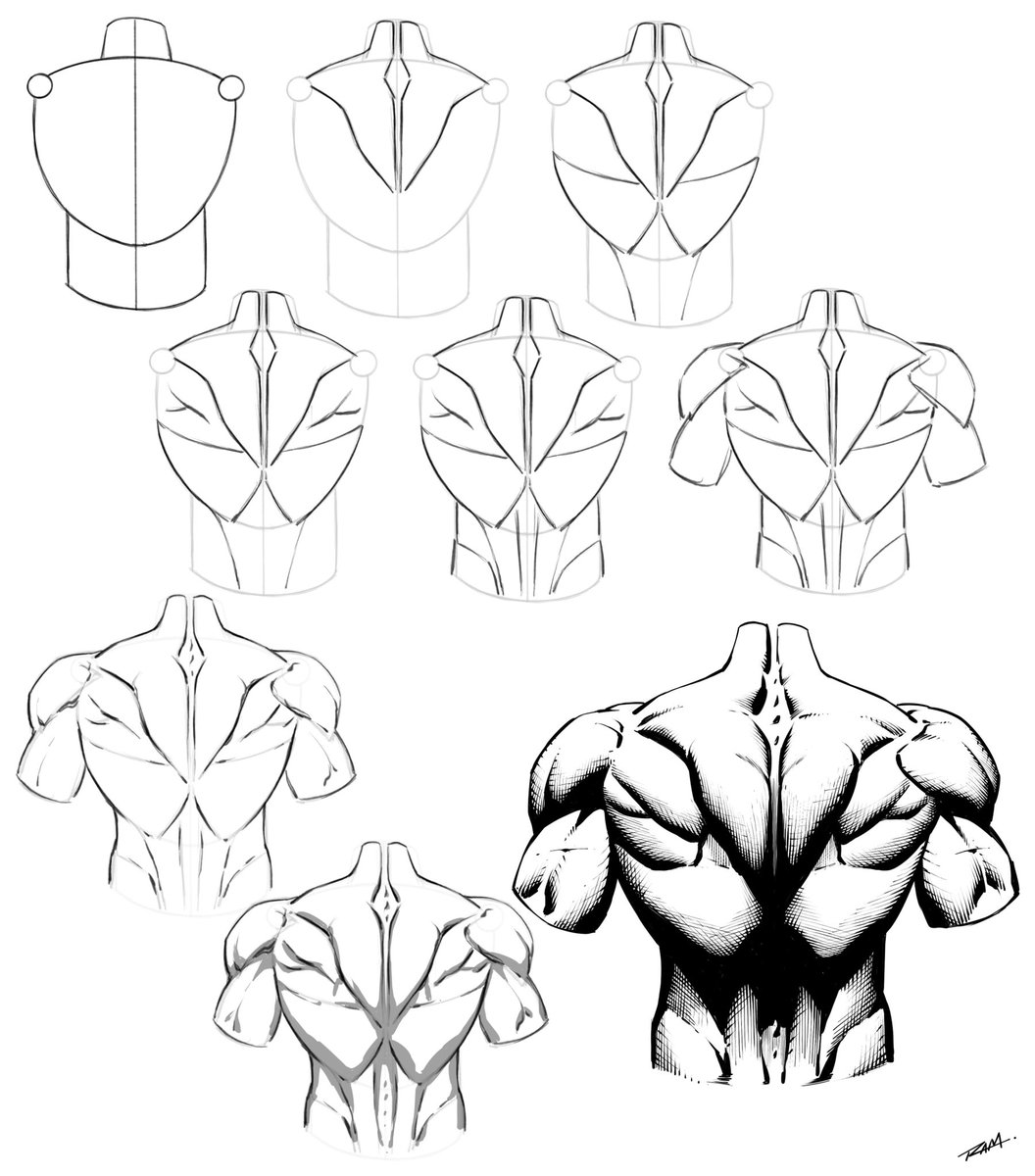Here is a step by step on drawing the back muscles. I hope it helps and more on the way! 😎🙌✏️ #drawing #anatomy #StepByStep #backmuscles #tutorial