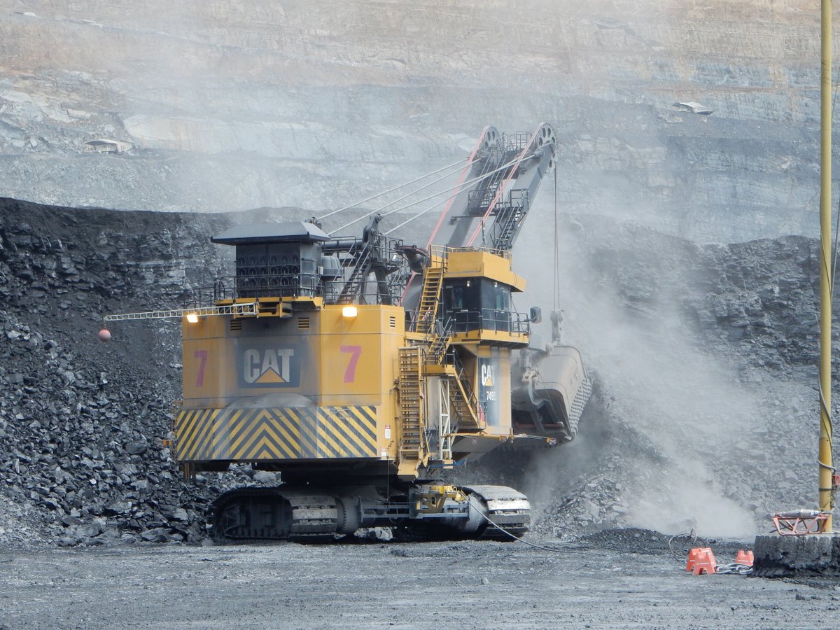 Cat Mining tweet media