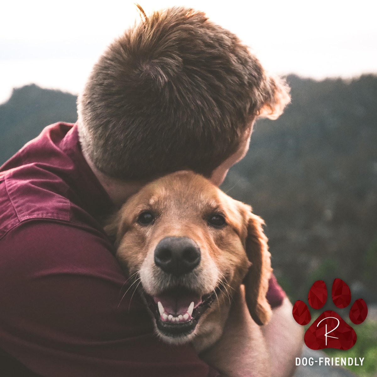 Bring your best buddy; Hotel Ruby is dog-friendly! #stayspokane #dogfriendlyspokane #dogfriendlyhotel #spokanehotel #adventurestartshere