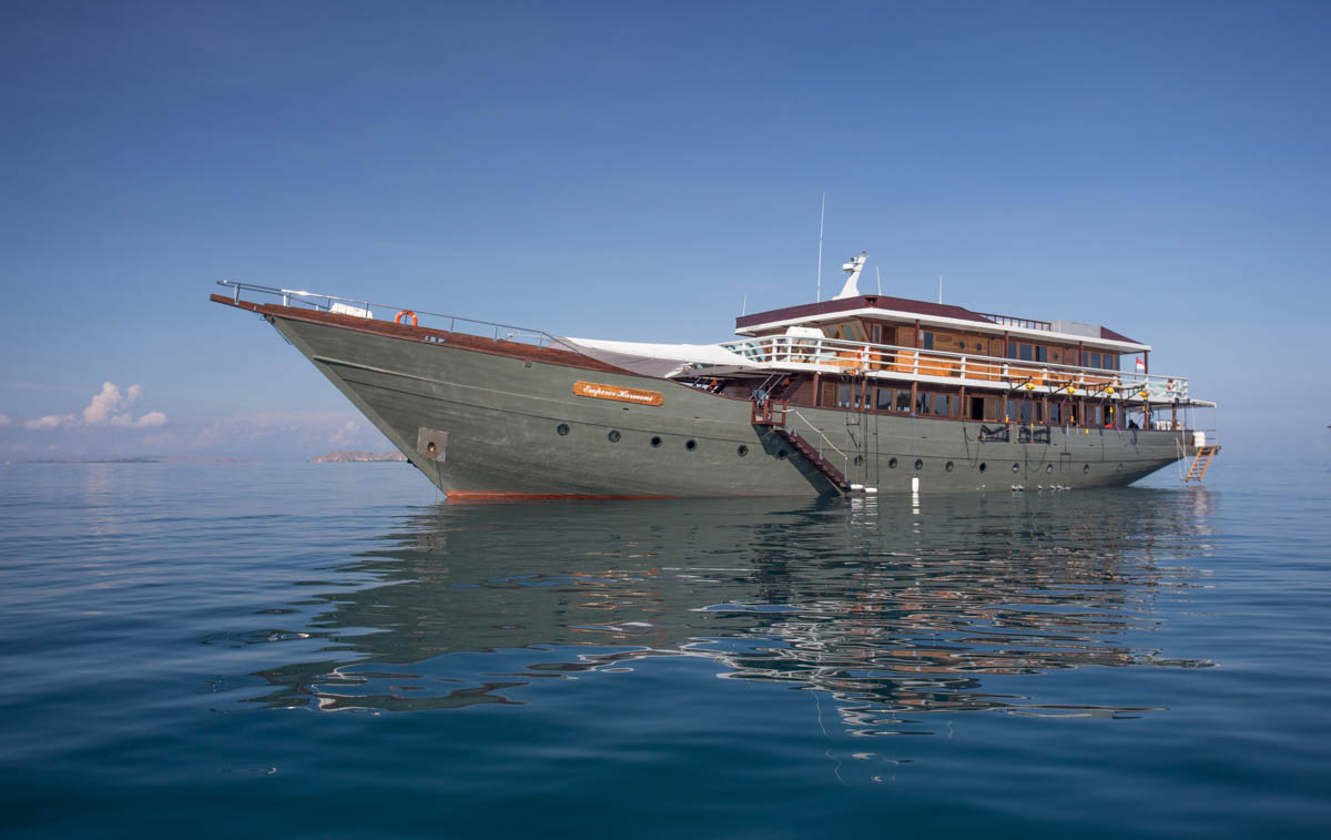 DivingRegister's tweet image. Emperor Harmoni dlvr.it/SnvR5F