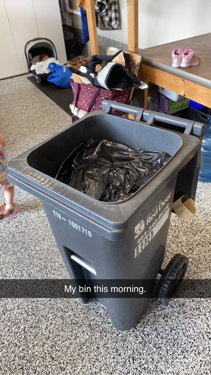 ClwalterWalter's tweet photo. My garbage bin this morning. Didn’t get dumped but took time to add a note instead of removing the planter closing the lid and dumping. Don’t care if flower pot would have been left behind. Thanks @CityofRedDeer great service. 👎👎 https://t.co/Rz0rejXndk