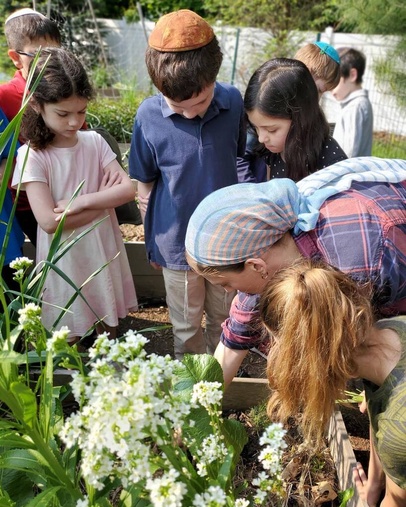 GrowTorah tweet media