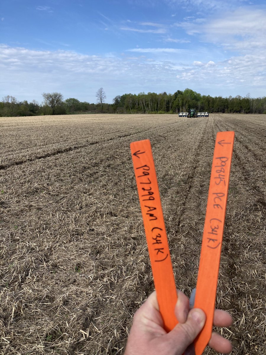 LogelMotive (@logel_chris) on Twitter photo And another Northumberland population trial…97-98 RM 26-38 K…..always learning! <a href="/greydaftonfarms/">Travis Greydanus</a> <a href="/Cheech_Cheech/">James D'Aoust 🌽</a> And another Northumberland population trial…97-98 RM 26-38 K…..always learning! <a href="/greydaftonfarms/">Travis Greydanus</a> <a href="/Cheech_Cheech/">James D'Aoust 🌽</a>