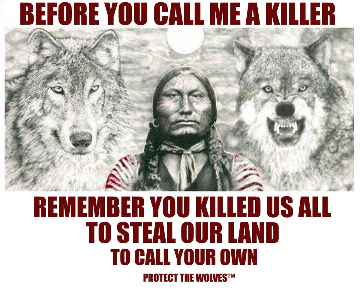 Protect The Wolves™ tweet media