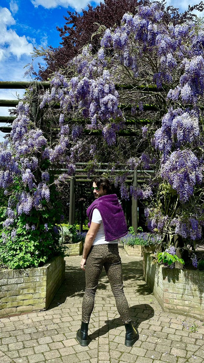 Heya #wisteria welcome to 2023. U smell gr8. #wisteriawatch @ColMuseums