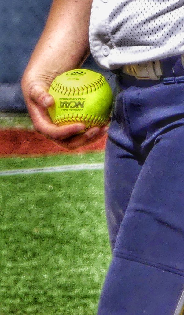 saoburger's tweet photo. Let’s Gooooo!!!!!! @MSJSoftball 💙💛💙💛💙💛💙 https://t.co/P57sH1kTdz