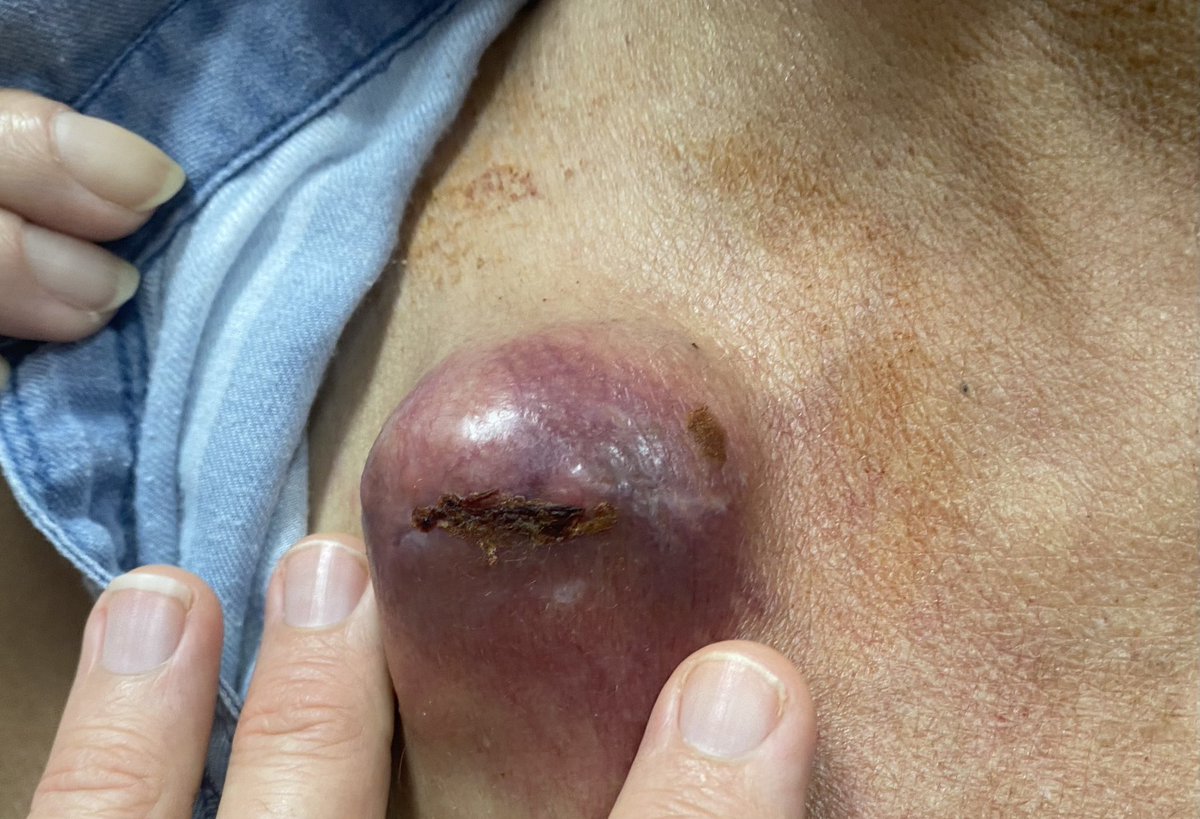 Bo Goodgame tweet media