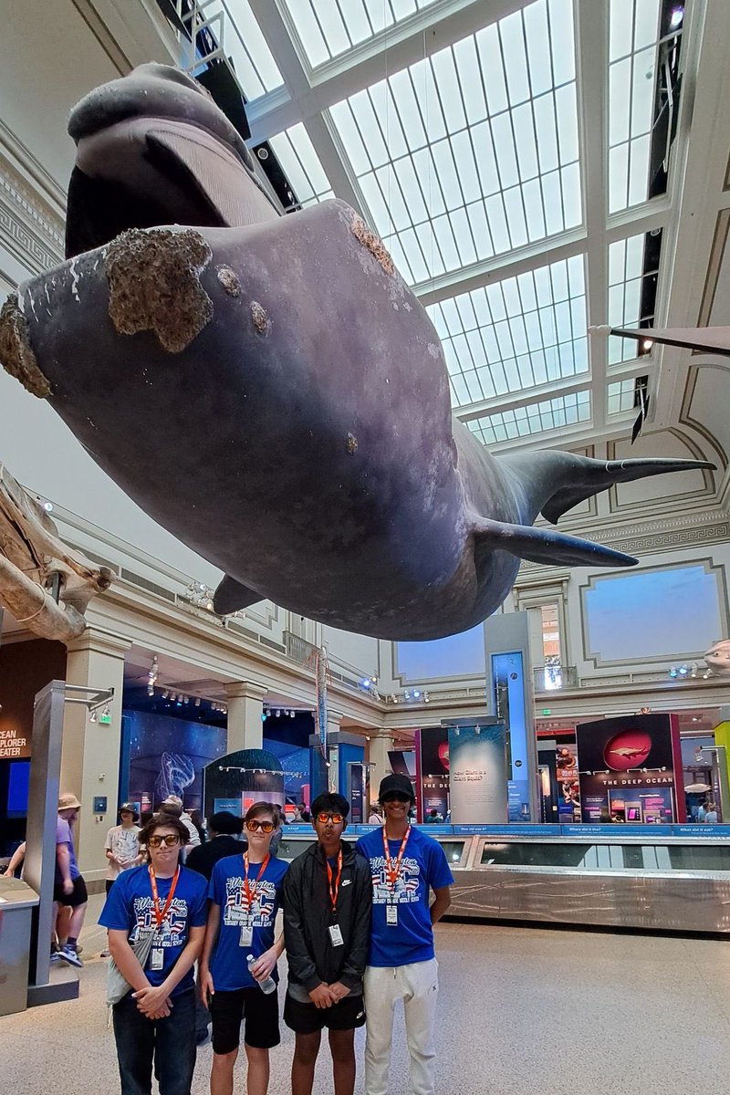 KellySyroka's tweet photo. Bus #4
The Museum of Natural History
@OOMSDC @OOMS_OLSD https://t.co/45hvc7TaAo