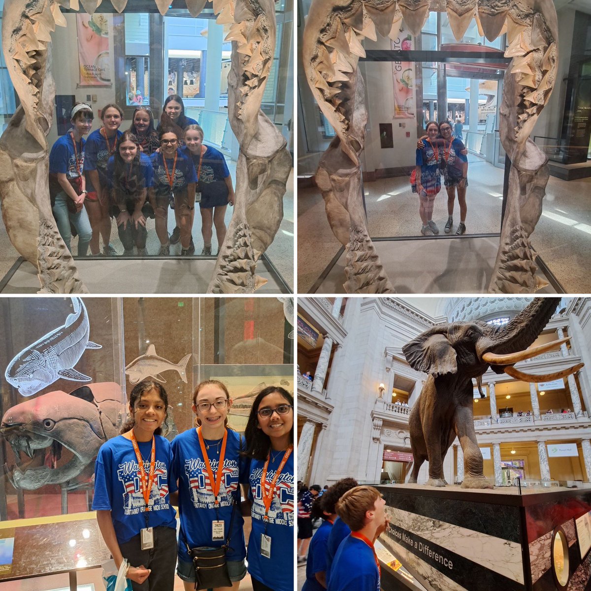 KellySyroka's tweet photo. Bus #4
The Museum of Natural History
@OOMSDC @OOMS_OLSD https://t.co/45hvc7TaAo