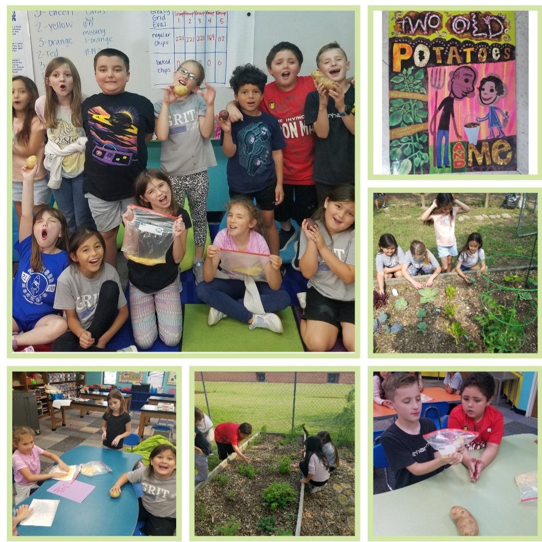 MandiMTeach's tweet photo. Today's Garden Club meeting was spud-tastic! We read an awesome book about growing potatoes and did a fun experiment with potato chips. Our garden is loving the rain and the kiddos were excited to see how much the veggies have grown. #playinthedirt #learningisfun https://t.co/ullN6mRpv4