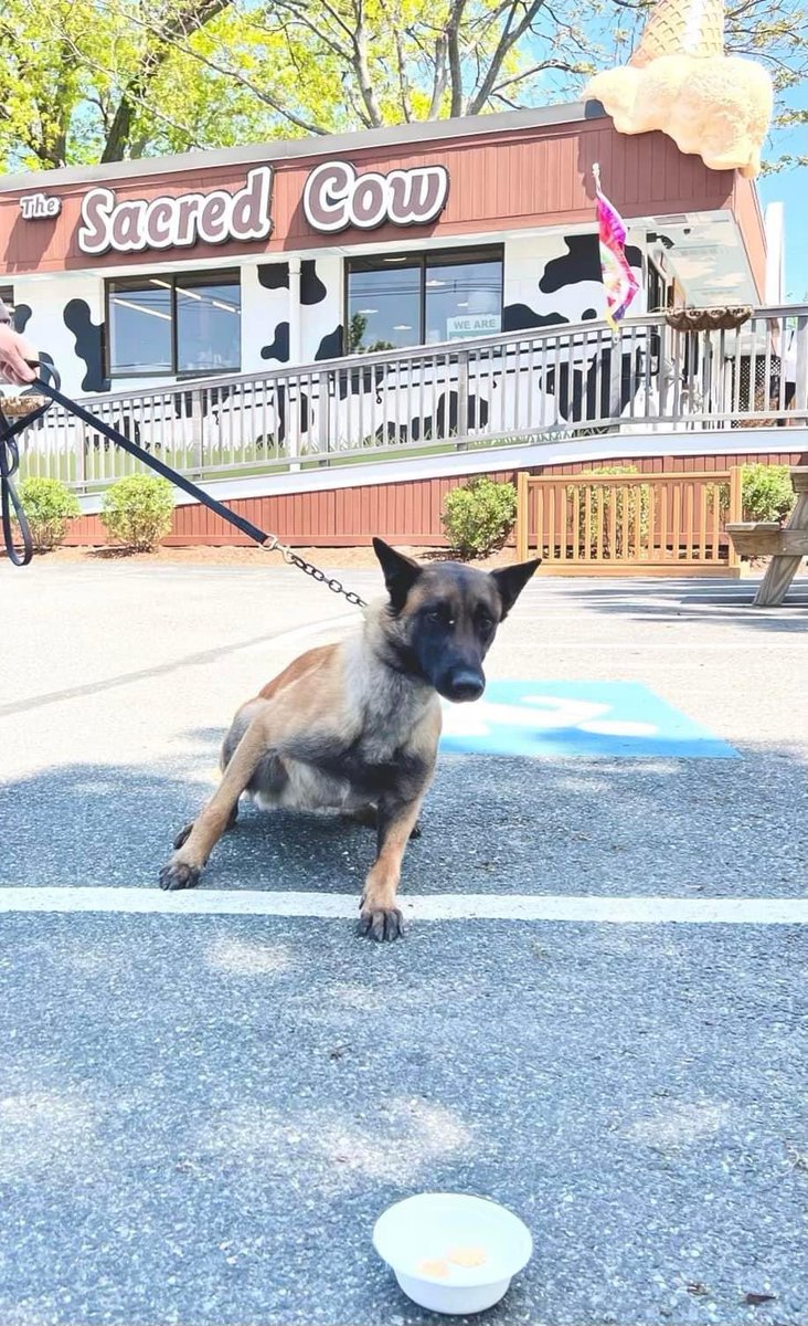 East Providence Police Department tweet media