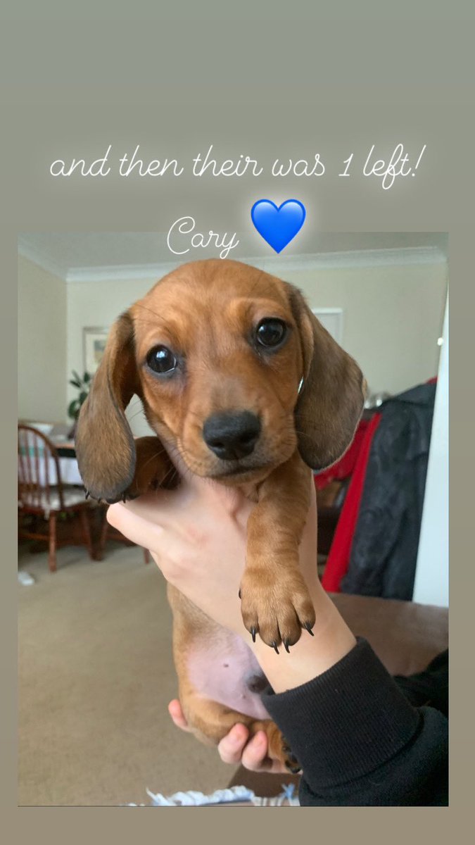 1 little boy ready soon 👀 family