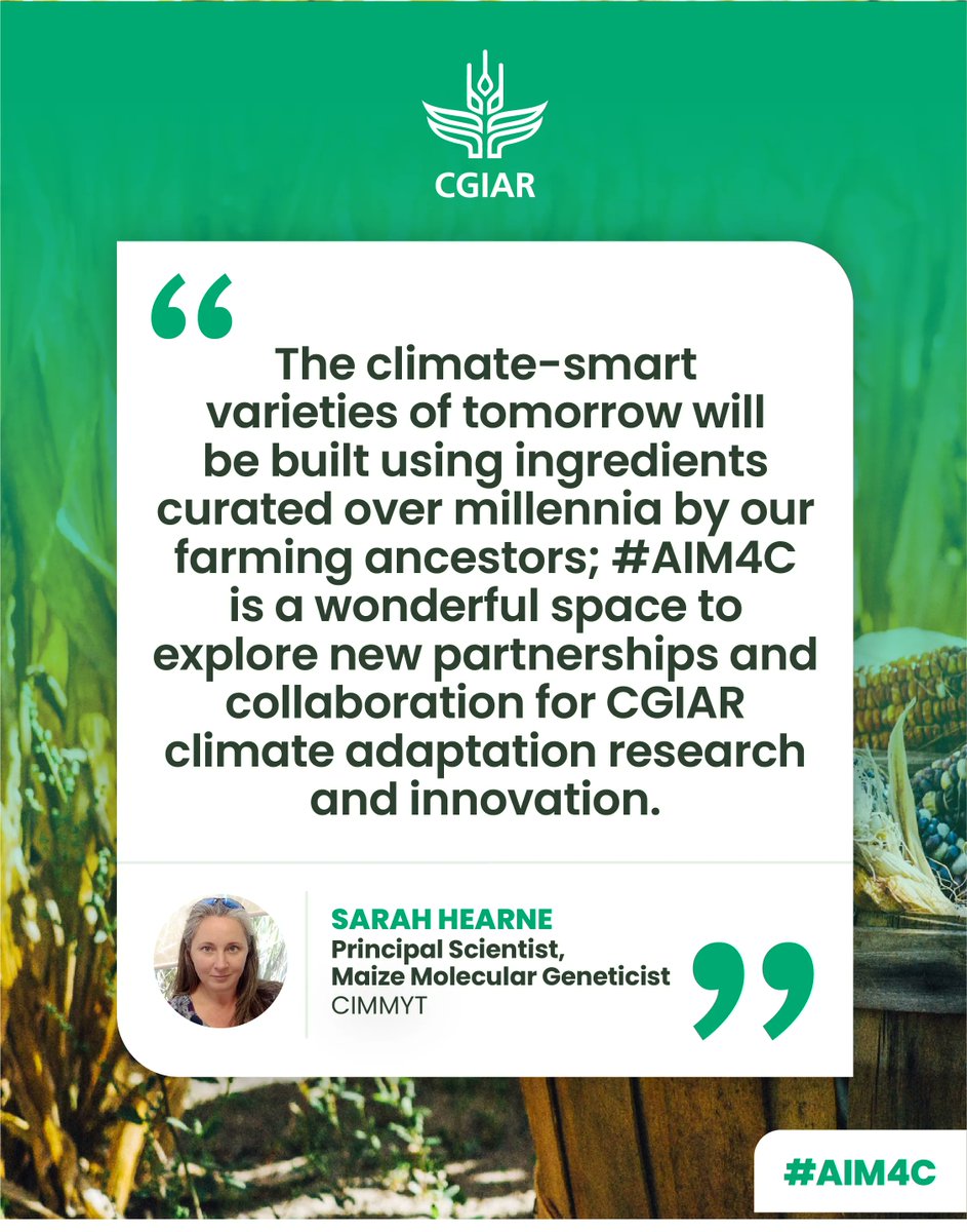 CGIAR's tweet photo. We’re co-developing solutions to shift towards production systems adapted to the local needs of smallholders to enhance resilience to the #ClimateCrisis while reducing emissions. 

More about our involvement at @AIMforClimate: https://t.co/esVX0InY4V 

#OneCGIAR #AIM4C @CIMMYT https://t.co/M8NPtl0BXz