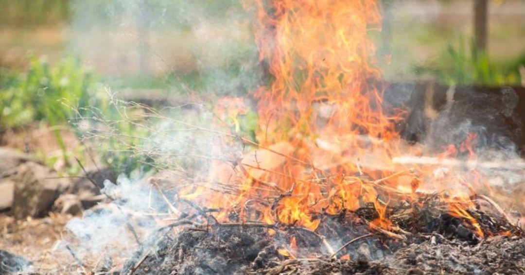 CSaanichFire's tweet photo. The last day of open burning in #CSaanich is May 15. Please remember to check the #VentingIndex before burning. For more information on burning, please see our website https://t.co/RRgsGFZuWS #BurnClean #BeSafe https://t.co/WNauBsiy5H