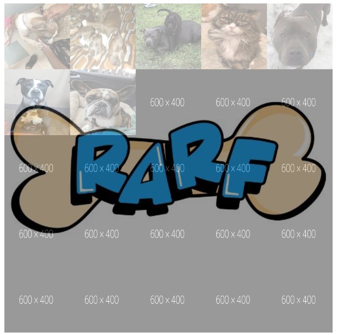 Ryan Animal Rescue Foundation (@rarf_official) on Twitter photo Let's fill this collage with #cutepetpics to raise funds for RARFs critical grant programs! 🐶🐱🐇🐴🫶🏾 tinyurl.com/cutepetpics
#fundraiser #cutepets #petphotos @inspireunity_ <a href="/RealLoganRyan/">Logan Ryan</a> Let's fill this collage with #cutepetpics to raise funds for RARFs critical grant programs! 🐶🐱🐇🐴🫶🏾 tinyurl.com/cutepetpics
#fundraiser #cutepets #petphotos @inspireunity_ <a href="/RealLoganRyan/">Logan Ryan</a>