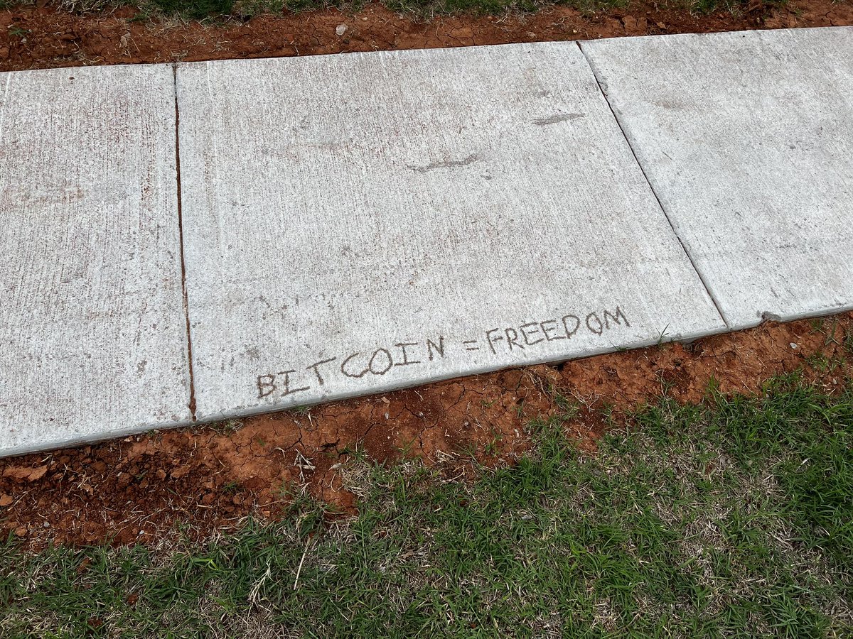 DieselEffect's tweet image. I like freedom. Anyone know where I can get some BLT Coin? 🥓 🥬 🍅