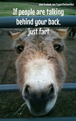 Aspiring Zee - Transformational Life Coach tweet media