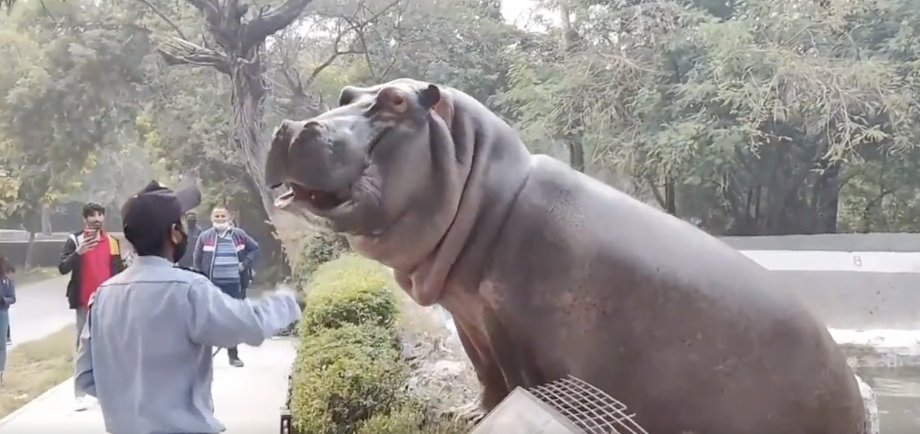 Nuestro Diario on Twitter 