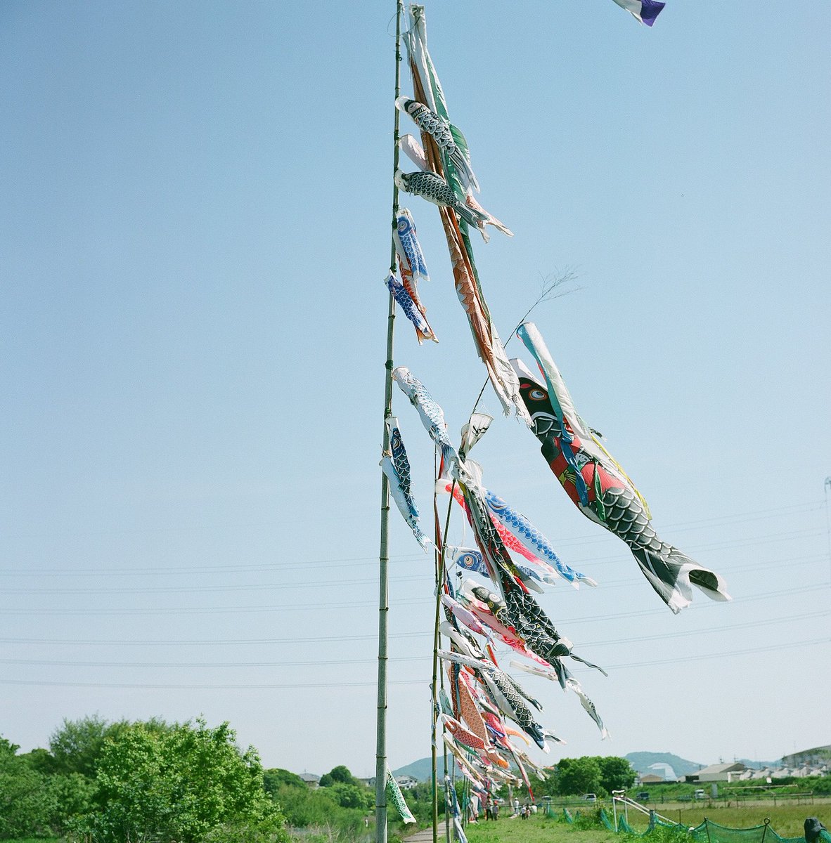 takeruneenee's tweet photo. ้ฏใฎใผใ
ใพใใพใๆณณใใงใๆ
Fuji pro160NS
#filmpgotography
#ใใฃใซใ ๅ็
#ๅ็ๅฅฝใใชไบบใจ็นซใใใใ https://t.co/NE4gLeLugt
